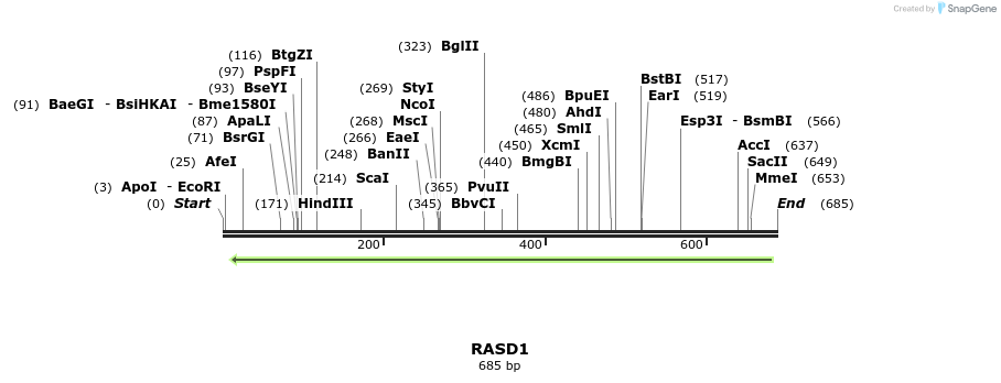 91151_map
