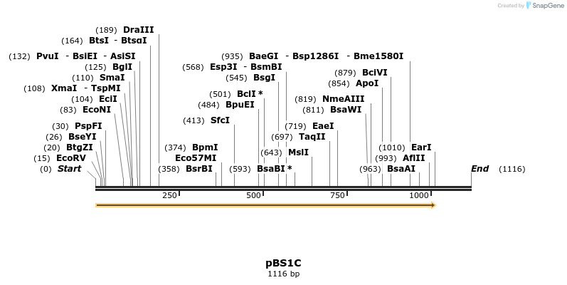 91155_map