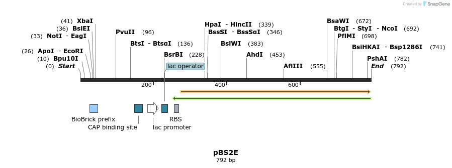 91156_map