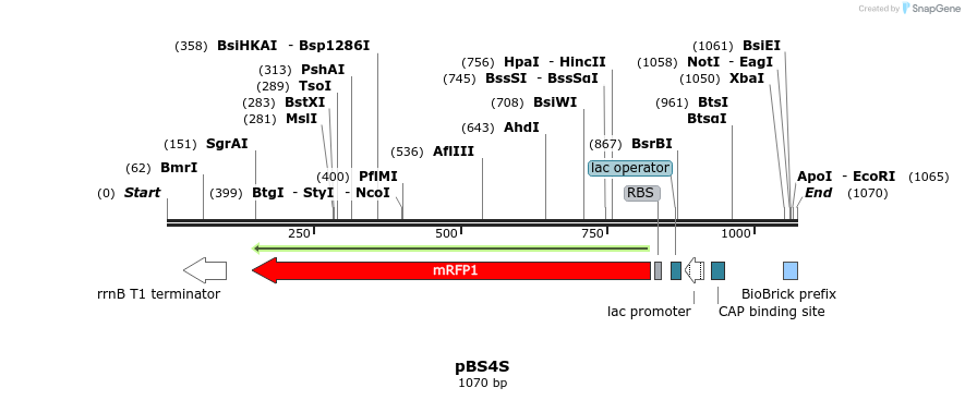 91157_map