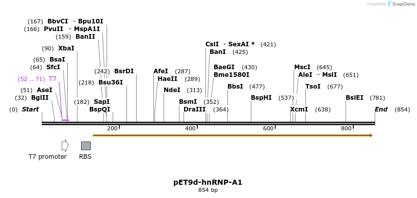 91158_map