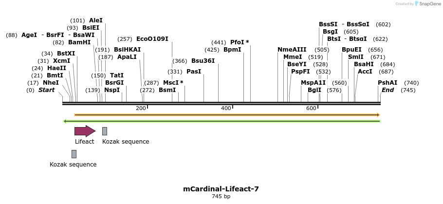 91164_map