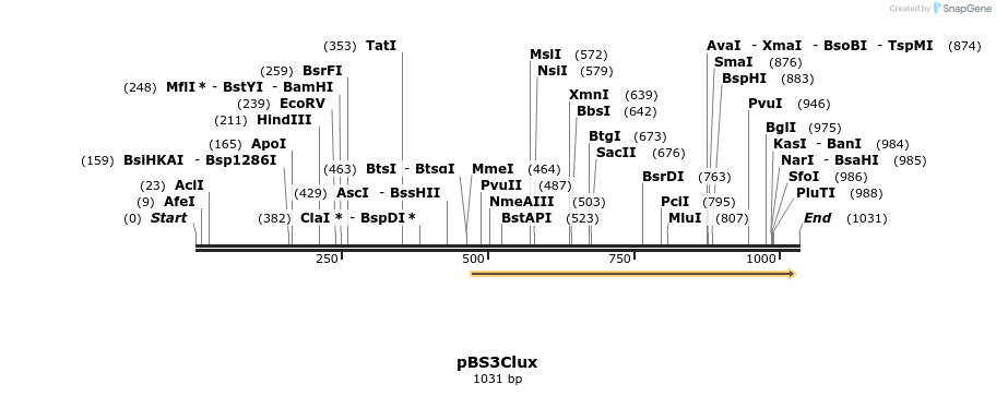 91165_map