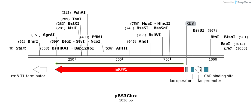 91168_map