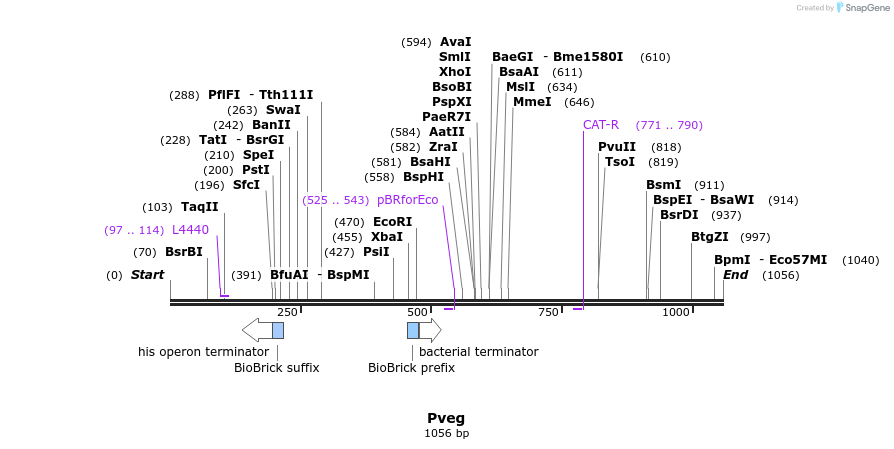91172_map