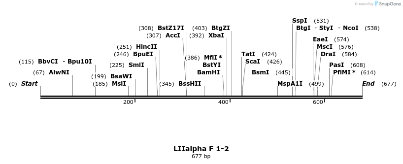 91179_map
