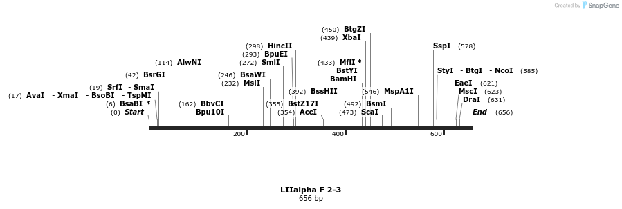 91183_map