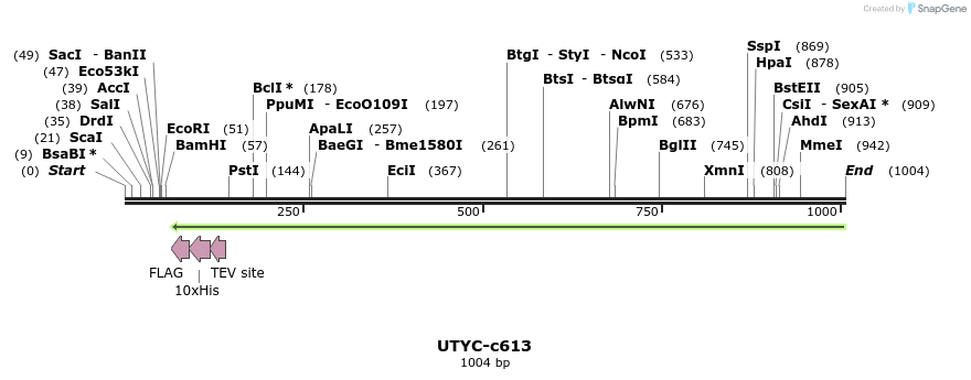 91185_map
