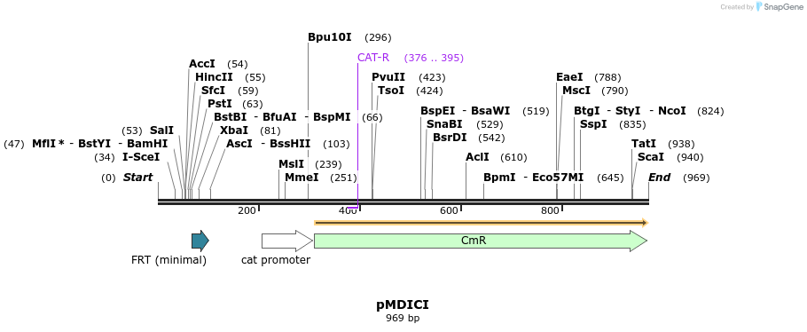 91189_map
