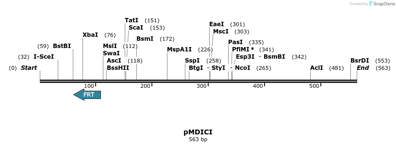 91191_map
