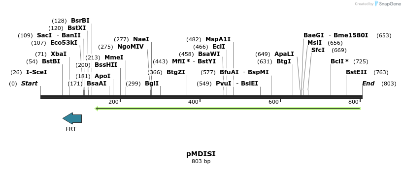 91194_map