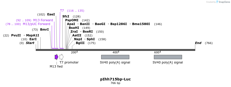 91200_map