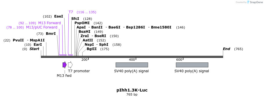 91201_map