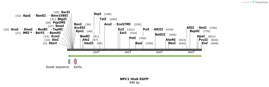 91202_map