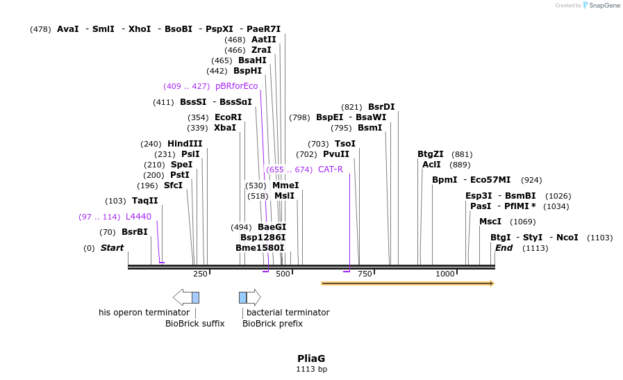 91203_map
