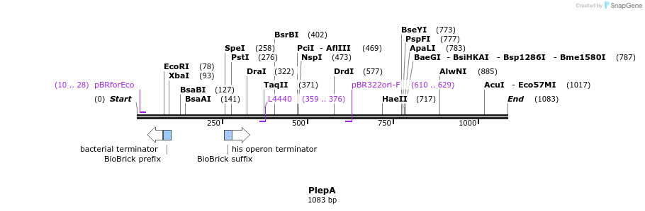 91206_map