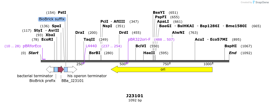 91208_map
