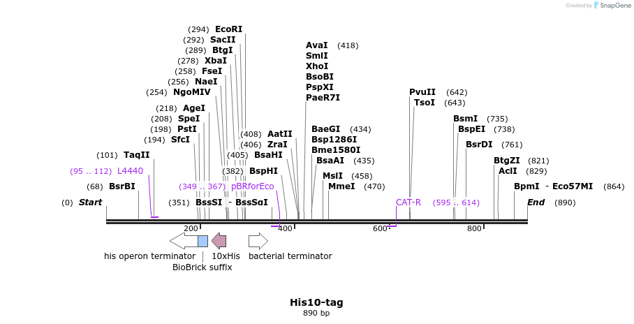 91212_map