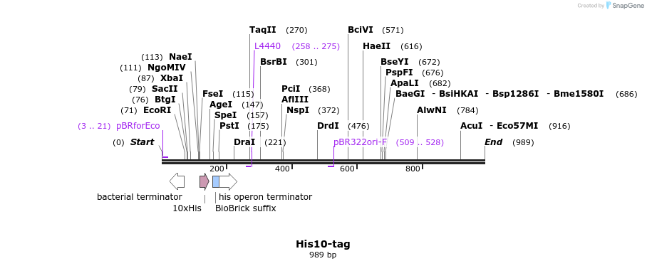 91214_map