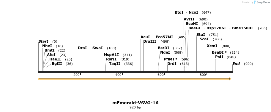 91216_map