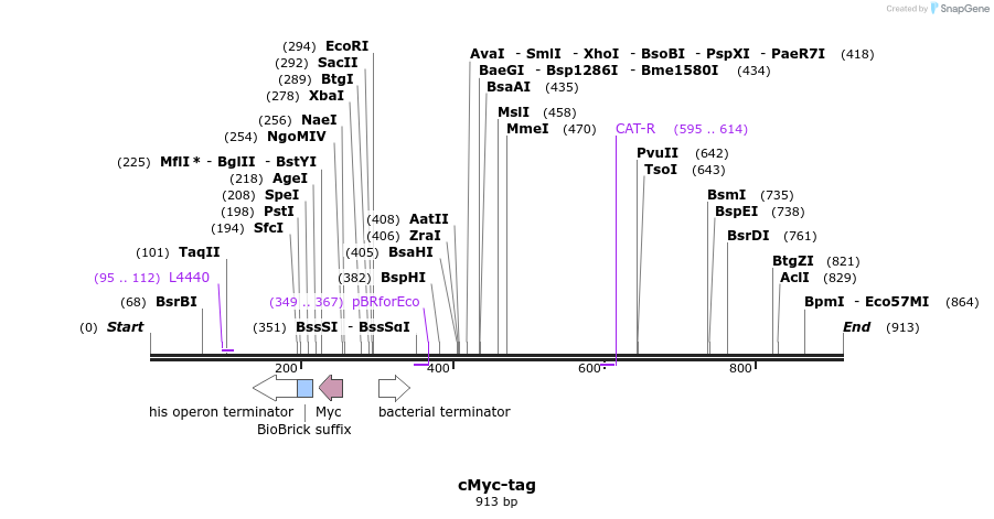 91219_map