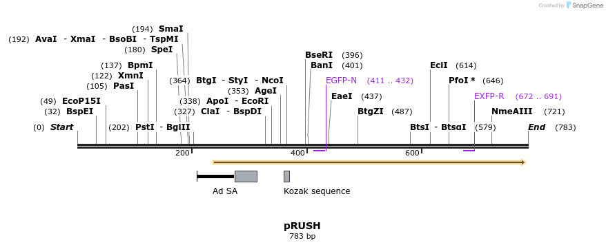 91225_map