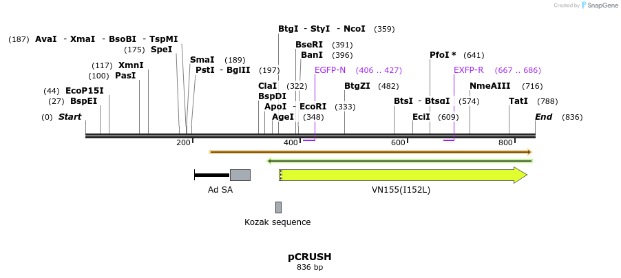 91228_map