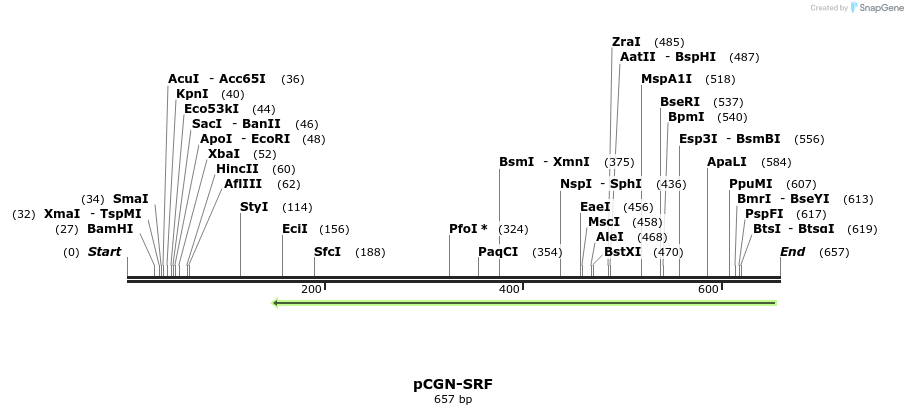 91229_map