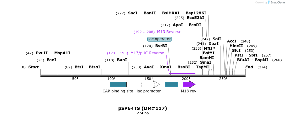 91232_map