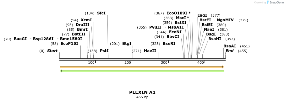 91235_map