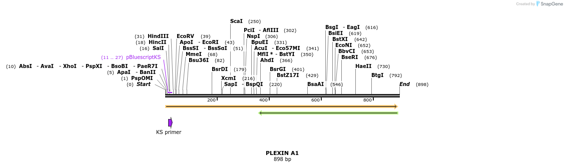 91236_map