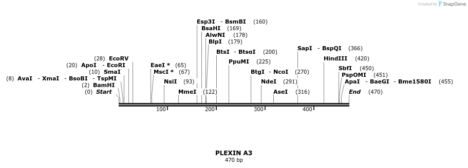 91237_map