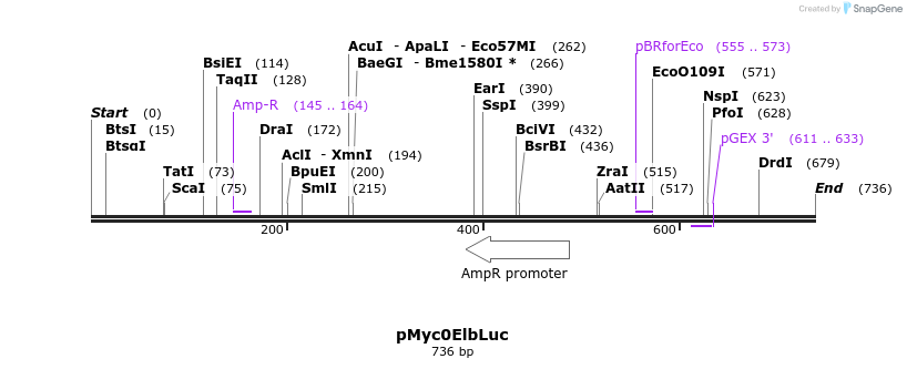 91242_map