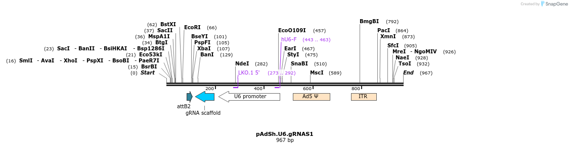 91245_map