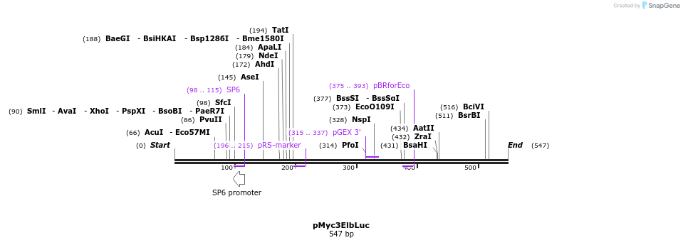 91247_map