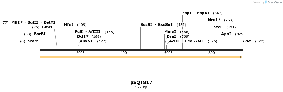 91248_map