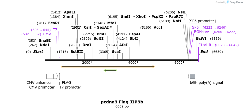 91250_map