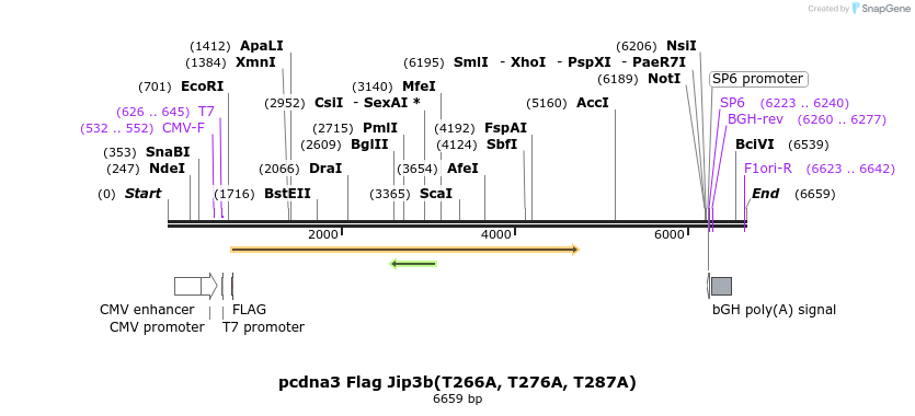 91267_map