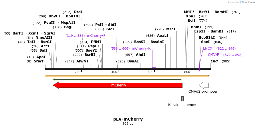 91270_map
