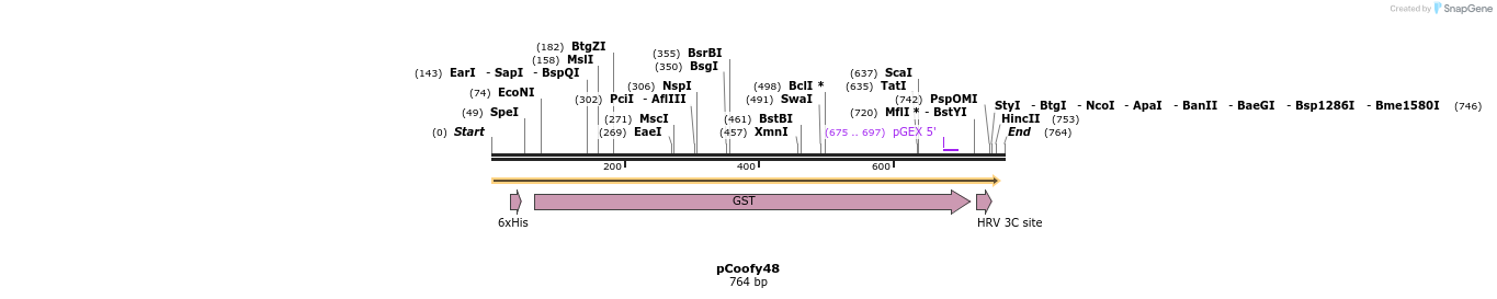 91271_map
