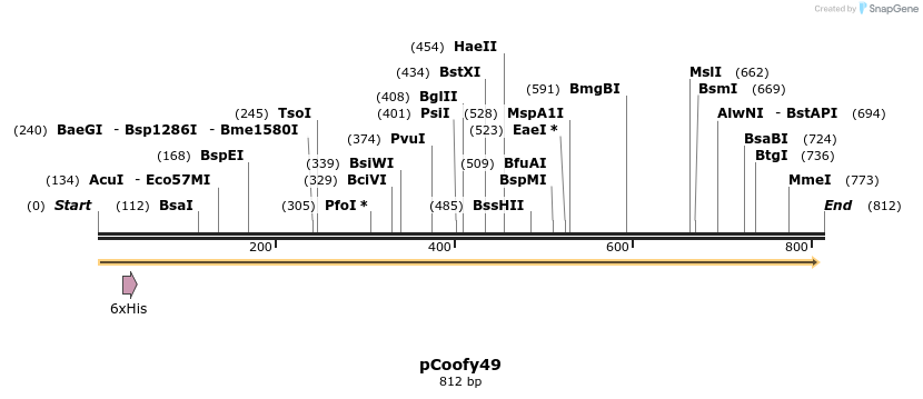 91272_map