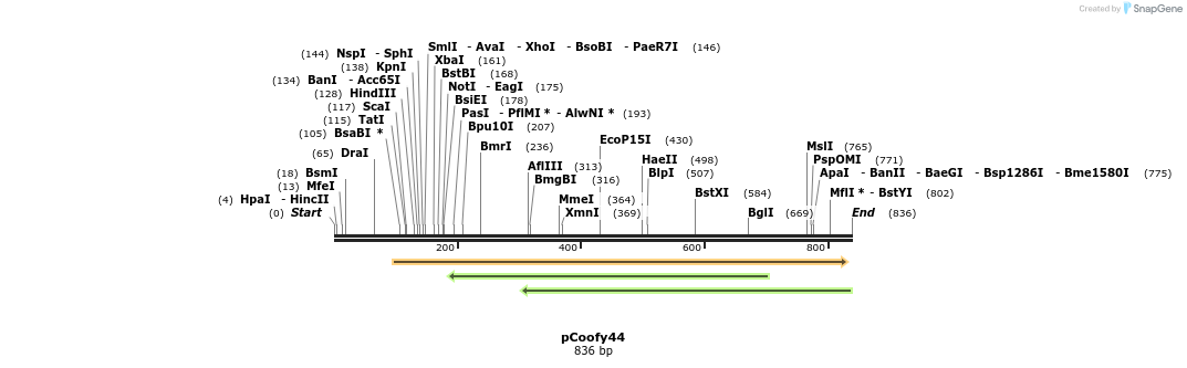 91280_map
