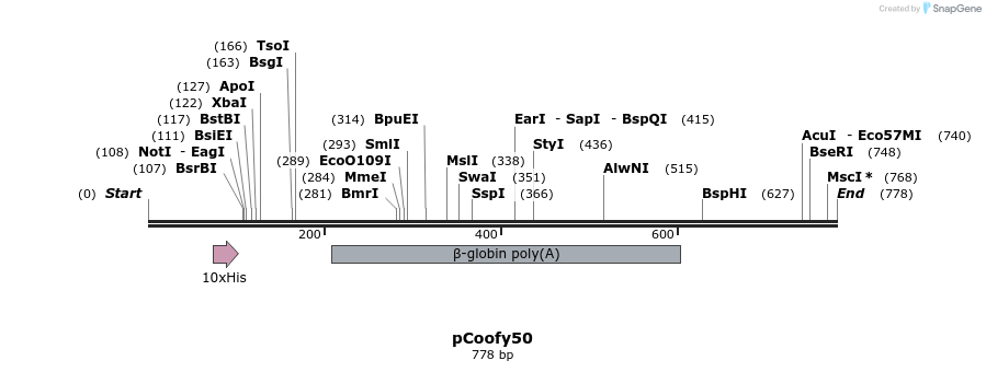 91283_map