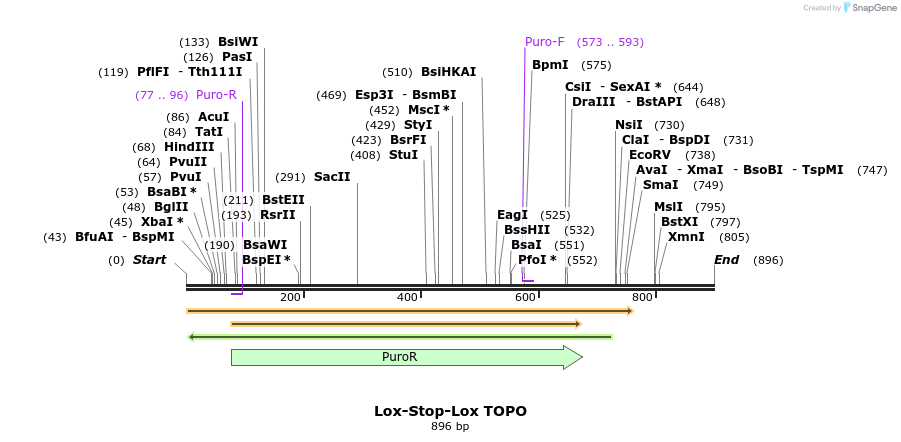 91287_map