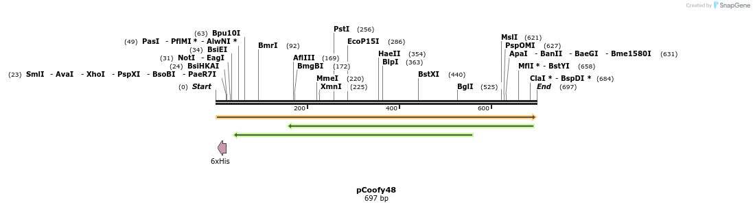 91296_map