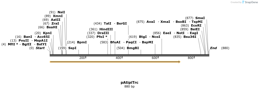 91300_map