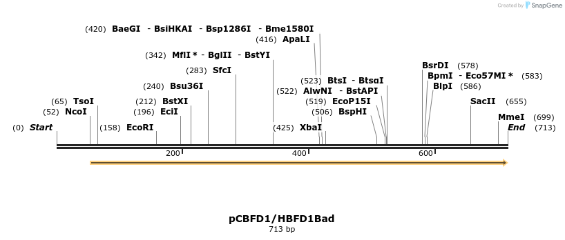 91306_map