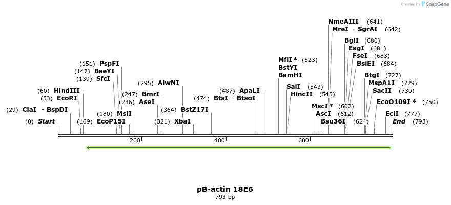 91308_map