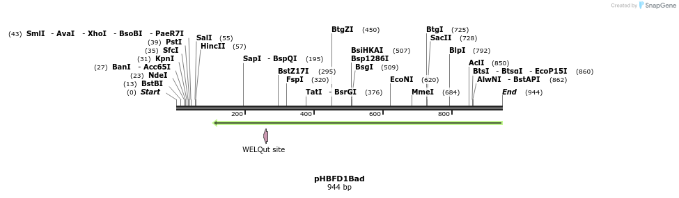 91314_map