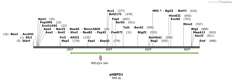 91319_map